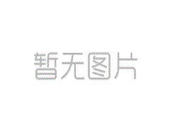 獲獎作品