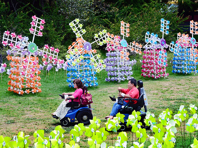 入選獎《夫妻欣賞風車》中國臺灣 張立仁.jpg